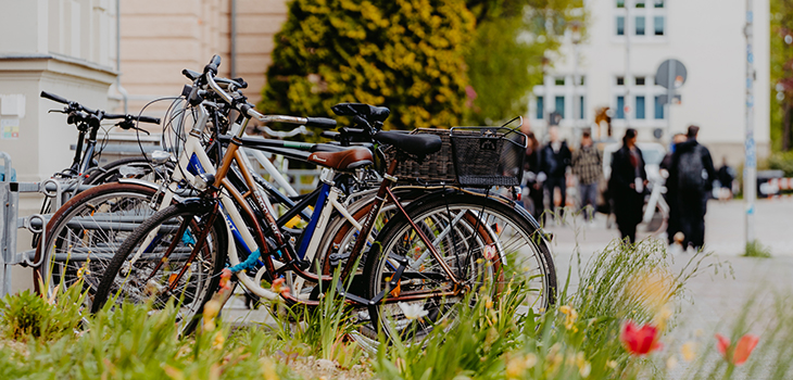 Fahrräder auf dem Campus Fahrräder auf dem Campus
