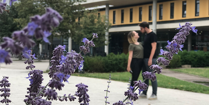 Sommer(Geflüster) auf dem Campus